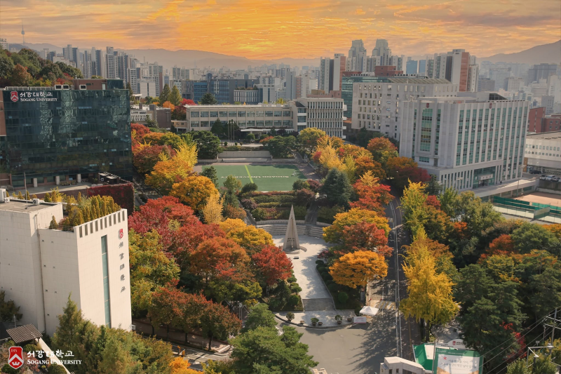 서강대학교